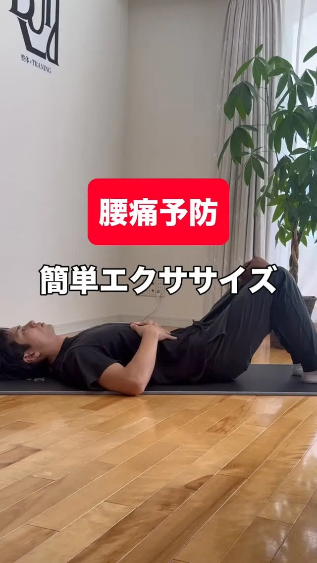 誰でもできる腰痛ケアのエクササイズです✨
